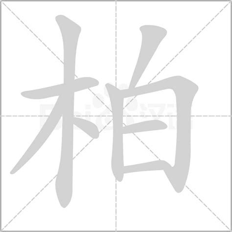 柏 同音字|柏（汉语汉字）